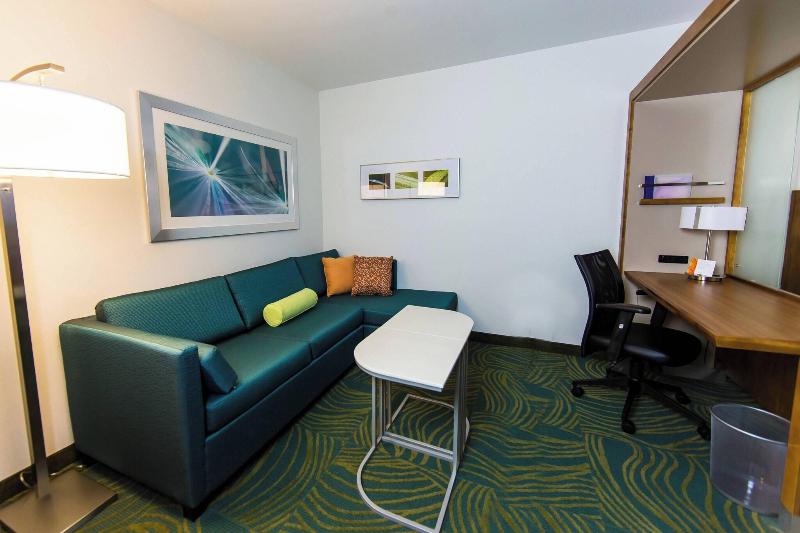 استودیوی استاندارد با تخت دو نفره بزرگ, Springhill Suites Lumberton