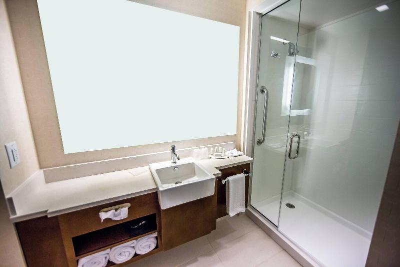 استودیوی استاندارد با تخت دو نفره بزرگ, Springhill Suites Lumberton
