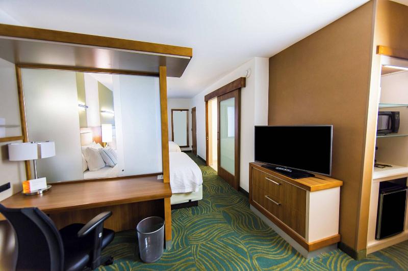 استودیوی استاندارد با تخت دو نفره بزرگ, Springhill Suites Lumberton