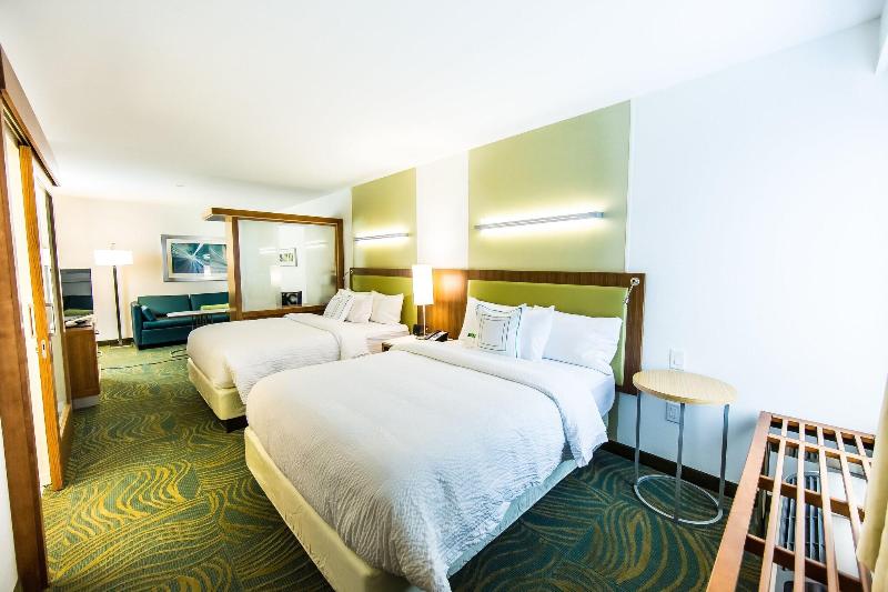 استودیوی استاندارد با تخت دو نفره بزرگ, Springhill Suites Lumberton