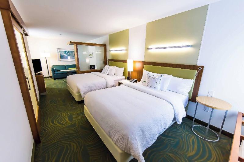 استودیوی استاندارد با تخت دو نفره بزرگ, Springhill Suites Lumberton