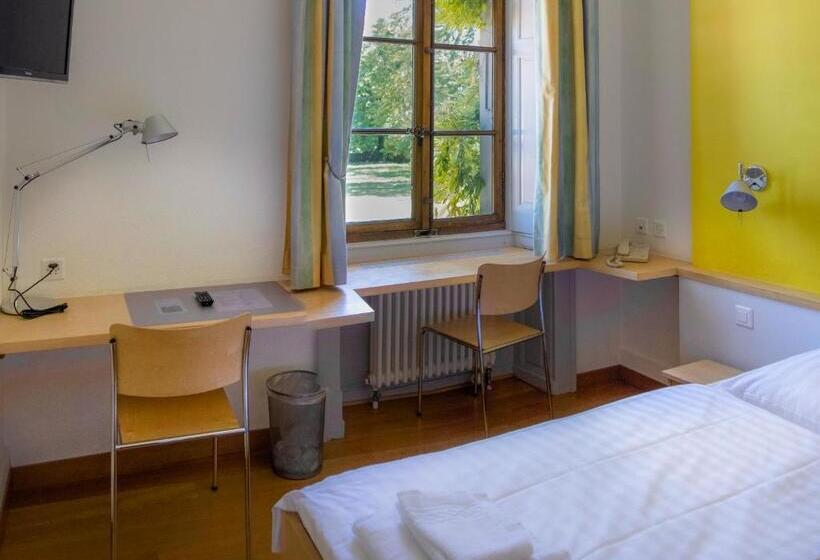 اتاق استاندارد با چشم‌انداز دریاچه, Chateau De Bossey