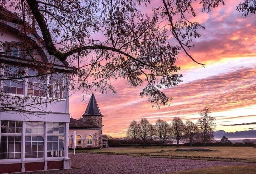 اتاق استاندارد با چشم‌انداز دریاچه, Chateau De Bossey