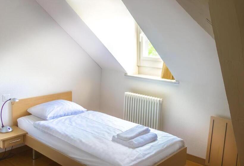 Standard Single Room, Chateau De Bossey