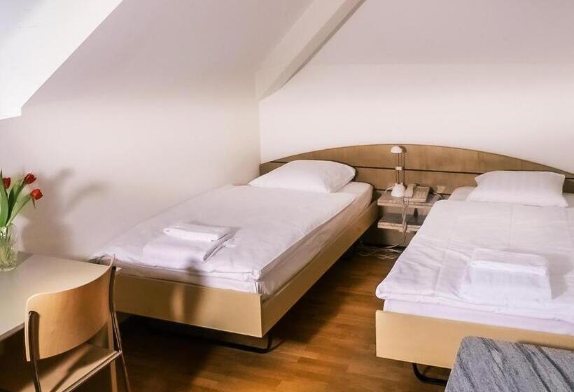 Standard Room Shared Bathroom, Chateau De Bossey