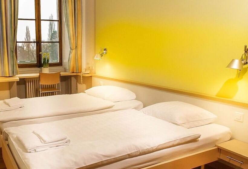 اتاق استاندارد با چشم‌انداز دریاچه, Chateau De Bossey
