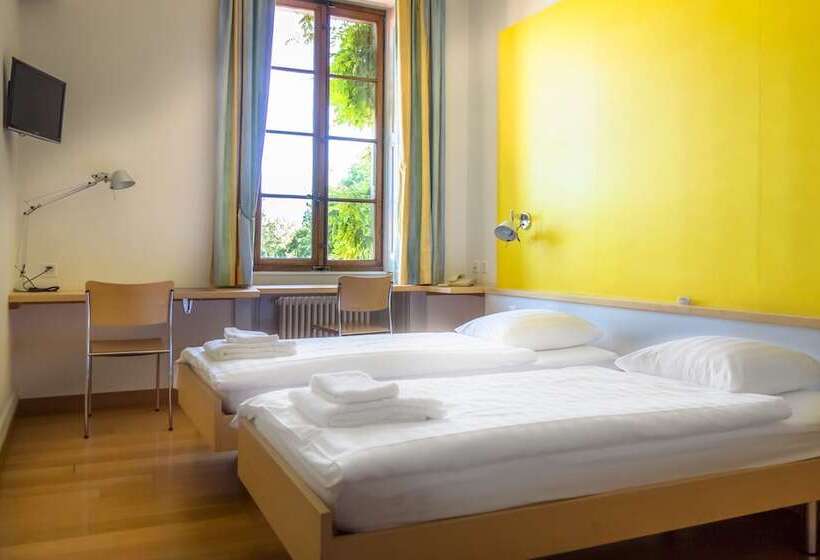 اتاق استاندارد با چشم‌انداز دریاچه, Chateau De Bossey