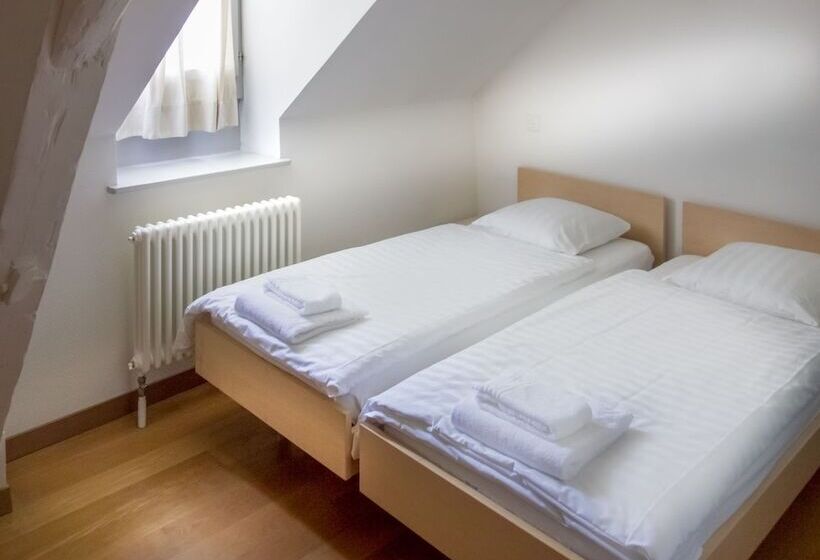 Standard Room, Chateau De Bossey