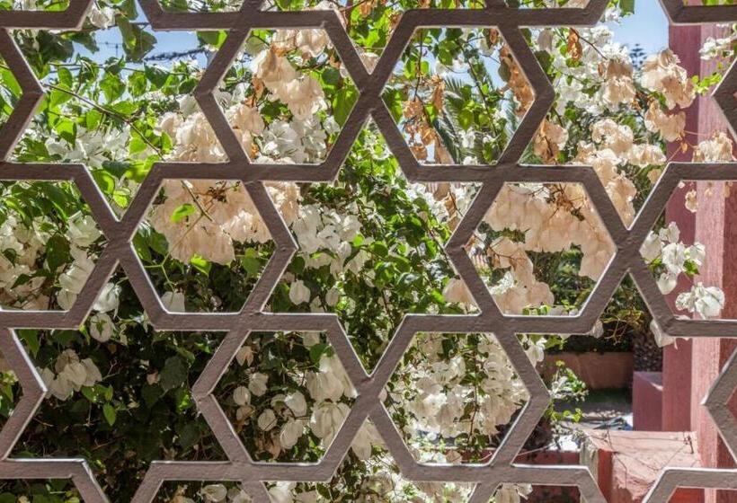سوییت جونیور, Riad Alhambra
