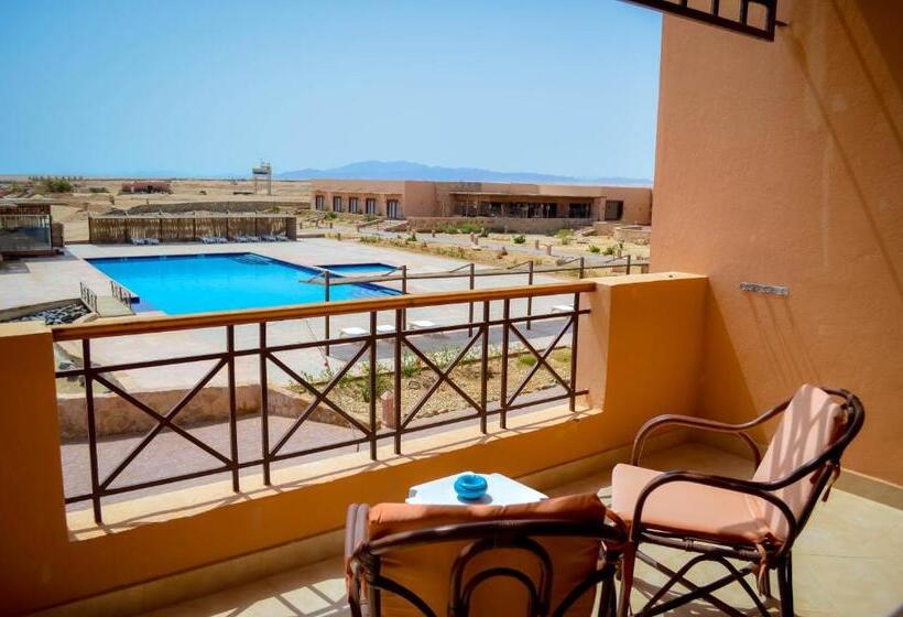 غرفة قياسية, Viva Blue Resort And Diving Sharm El Naga