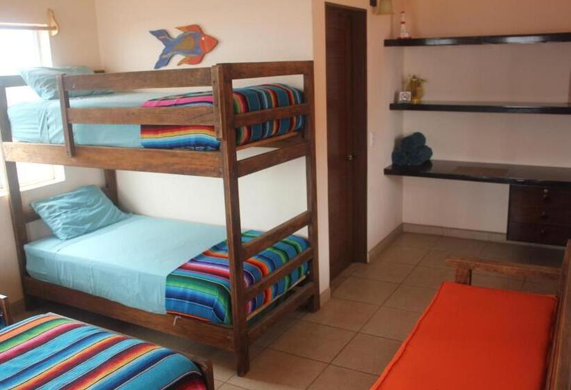 اتاق کلاسیک چهارنفره, Mision Surf