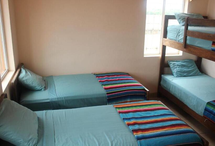 اتاق کلاسیک چهارنفره, Mision Surf