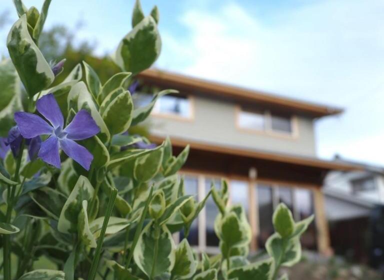 آپارتمان 1 خوابه, Canoa Guest House B Room Vacation Stay 47218v