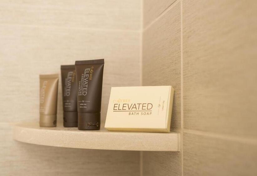اتاق استاندارد اینتریور, Ayres Hotel Orange