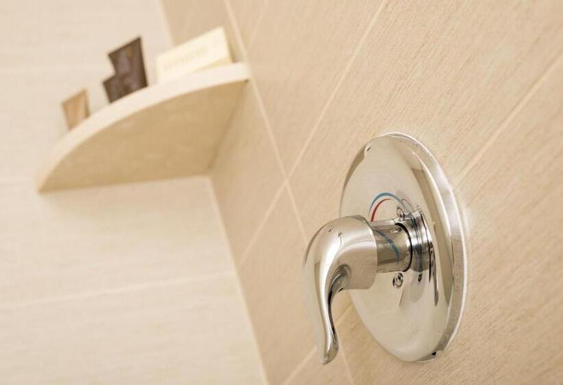 استودیو استاندارد با تراس, Ayres Hotel Orange