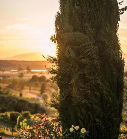 اتاق دوبلکس, Agriturismo Musignano