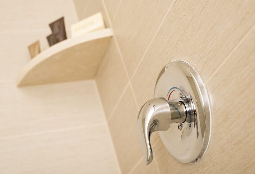 استودیو استاندارد با تخت کینگ, Ayres Hotel Orange