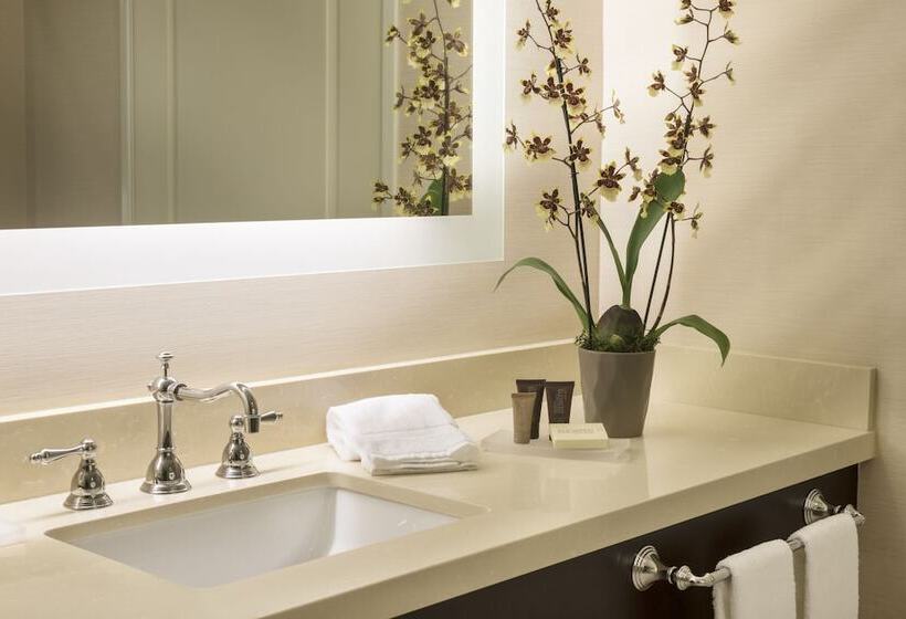 استودیو استاندارد با تخت کینگ, Ayres Hotel Orange