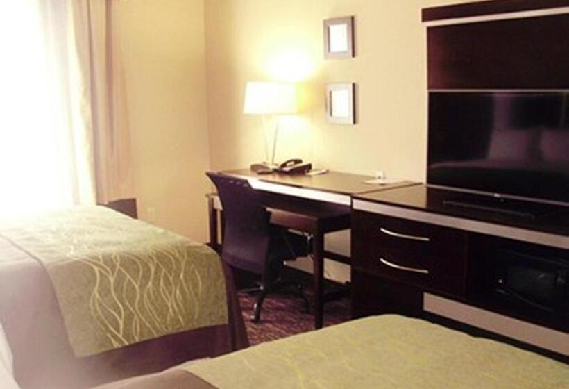 اتاق استاندارد با تخت بزرگ, Comfort Inn & Suites Dothan East