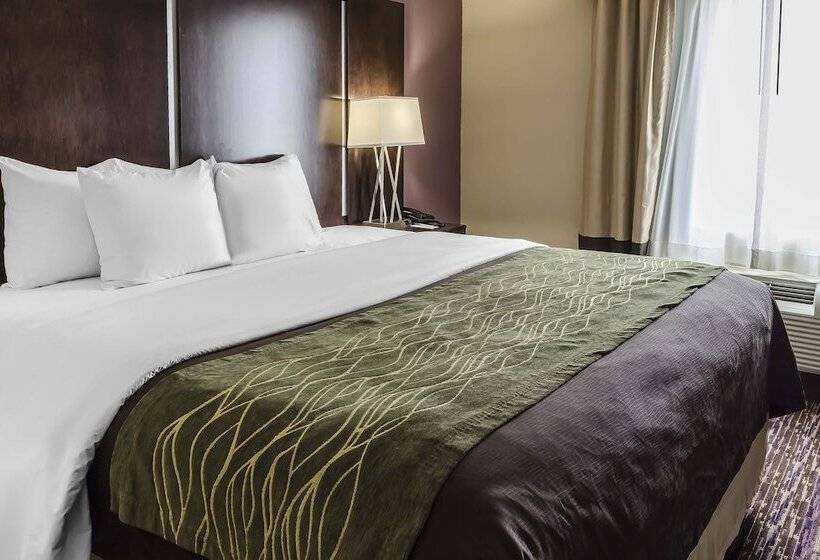 اتاق استاندارد با تخت دوبل برای معلولان, Comfort Inn & Suites Dothan East