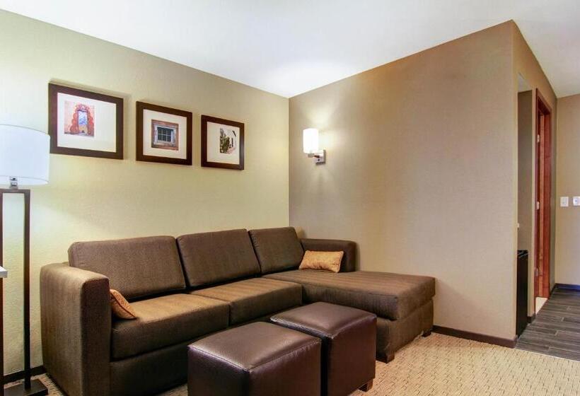سوئیت با تخت بزرگ, Comfort Suites Carlsbad