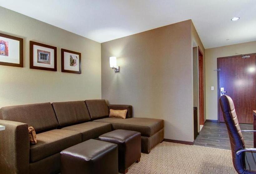 سوئیت با تخت بزرگ, Comfort Suites Carlsbad