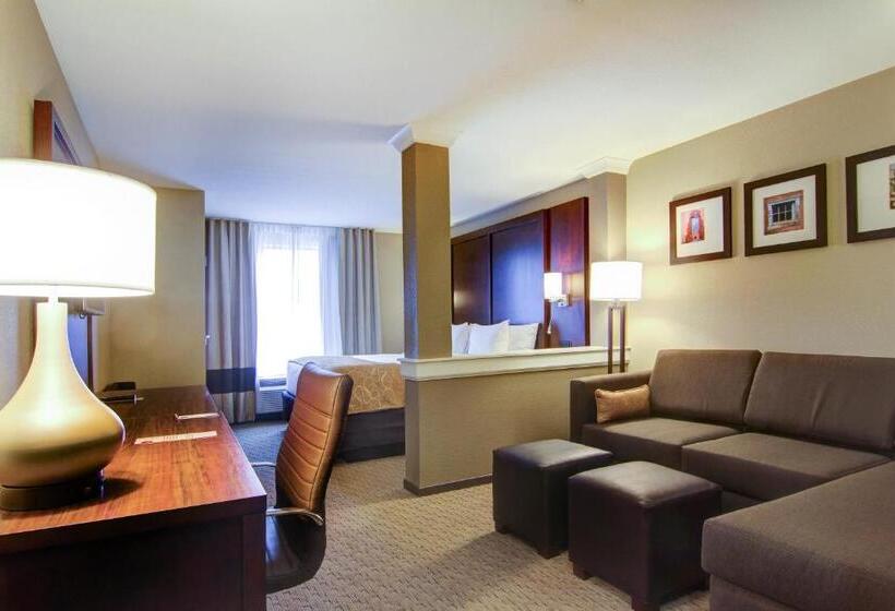 سوئیت با تخت بزرگ, Comfort Suites Carlsbad