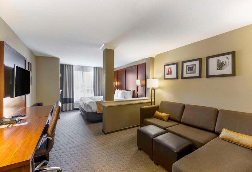 سوئیت با تخت بزرگ, Comfort Suites Carlsbad