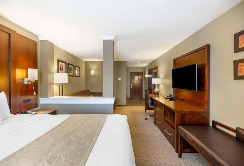 سوئیت با تخت بزرگ, Comfort Suites Carlsbad