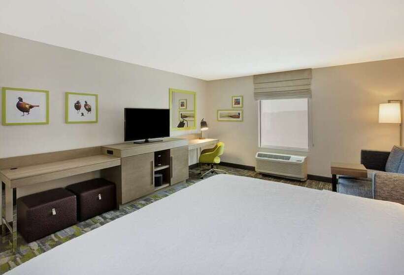 اتاق استاندارد با تخت بزرگ, Hampton Inn Marion
