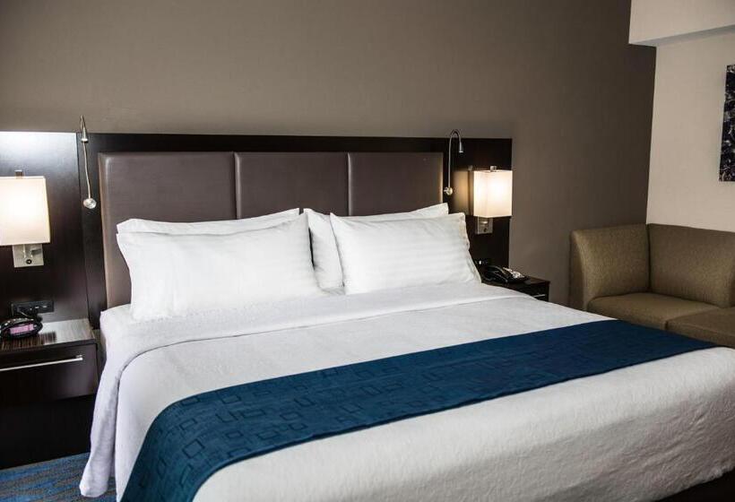 اتاق استاندارد با تخت بزرگ, Holiday Inn Owensboro Riverfront, An Ihg