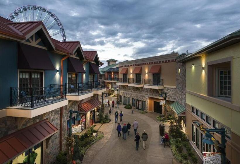 اتاق استاندارد با تخت بزرگ, Margaritaville Island