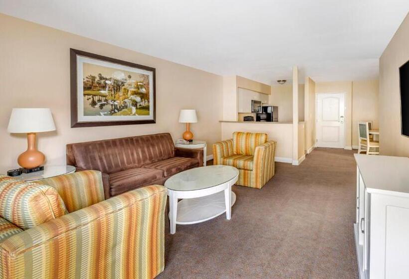 سوییت, Hilton Vacation Club Palm Canyon Palm Springs