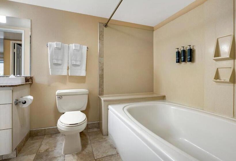 سوئیت 2 خوابه, Hilton Vacation Club Palm Canyon Palm Springs