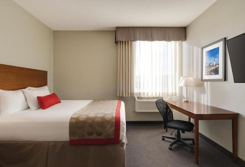 اتاق استاندارد با تخت بزرگ, Bakken Airport Xwa Hotel & Studios