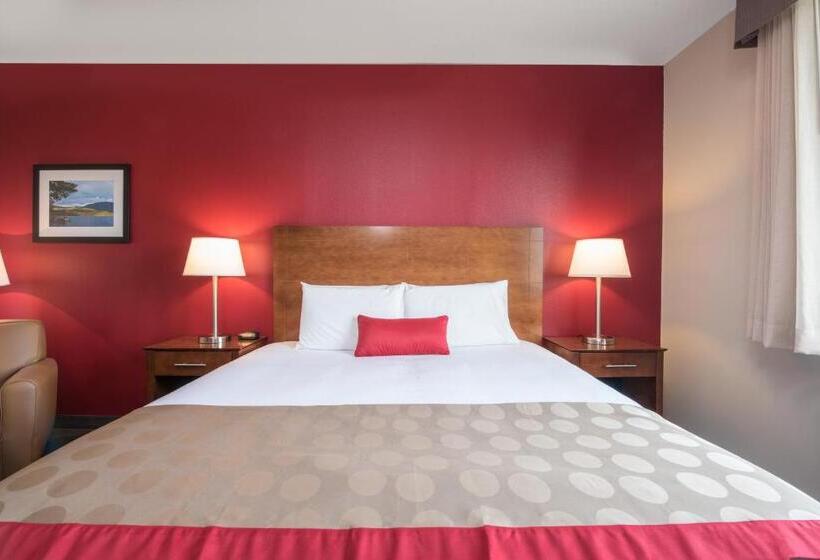 اتاق استاندارد با تخت بزرگ, Bakken Airport Xwa Hotel & Studios