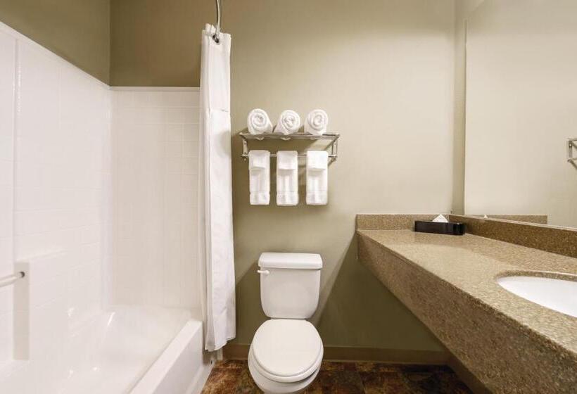 اتاق استاندارد با تخت بزرگ, Bakken Airport Xwa Hotel & Studios