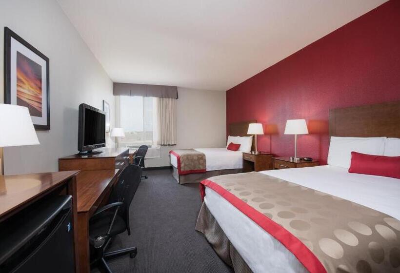 اتاق استاندارد برای معلولان, Bakken Airport Xwa Hotel & Studios