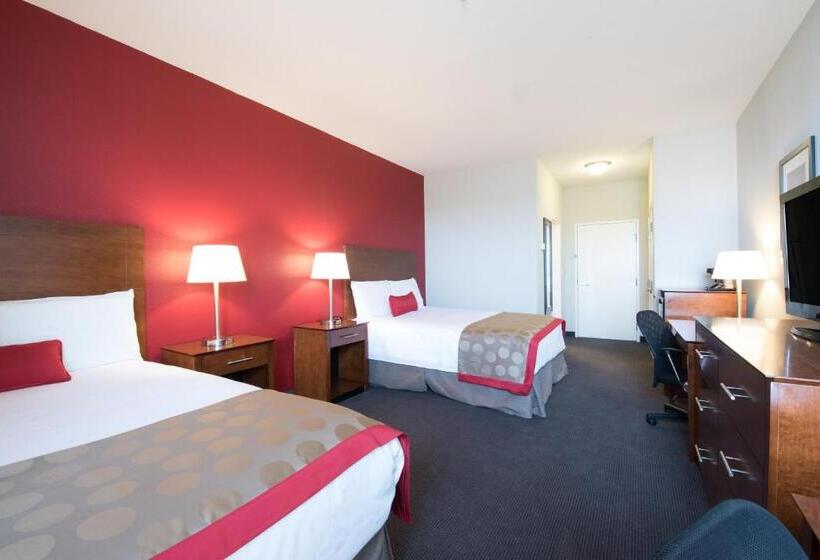 اتاق استاندارد برای معلولان, Bakken Airport Xwa Hotel & Studios