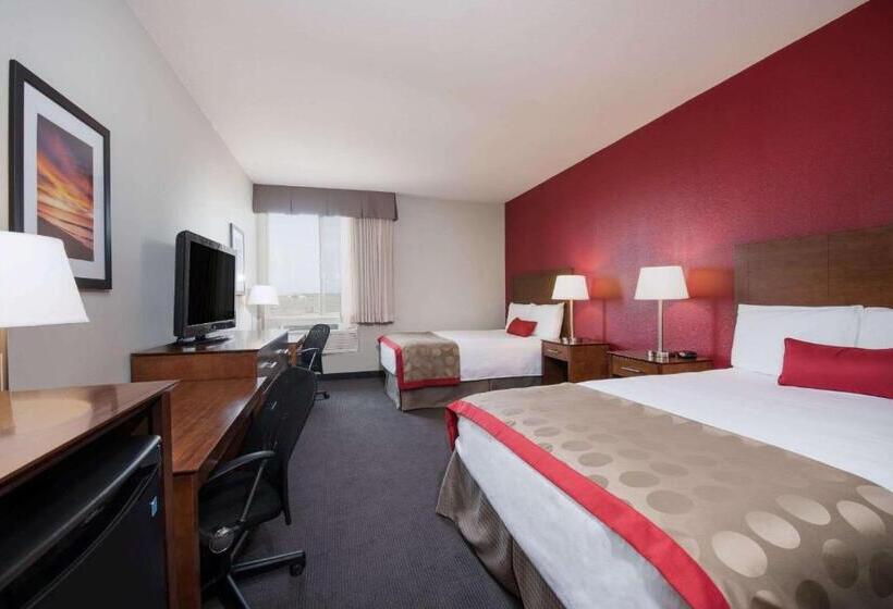 اتاق استاندارد با 2 تخت دوبل, Bakken Airport Xwa Hotel & Studios