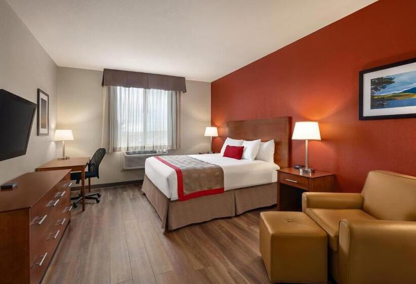 اتاق استاندارد با تخت بزرگ, Bakken Airport Xwa Hotel & Studios