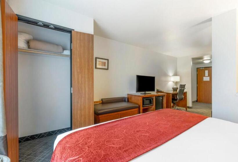 سوئیت با تخت بزرگ, Comfort Suites Redding  Shasta Lake