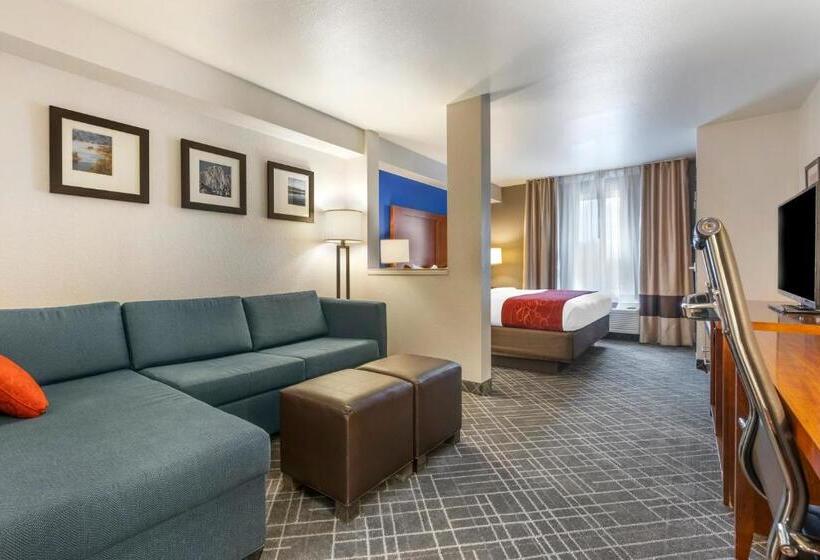 Suite King Size Bed, Comfort Suites Redding  Shasta Lake