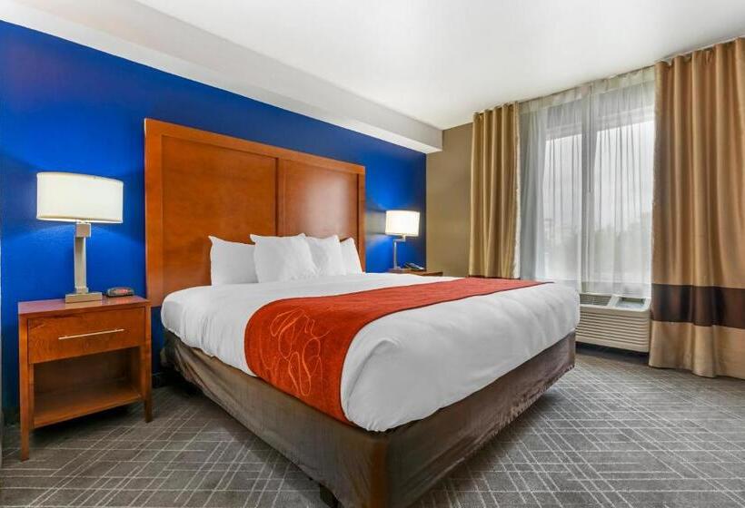 سوئیت با تخت بزرگ, Comfort Suites Redding  Shasta Lake