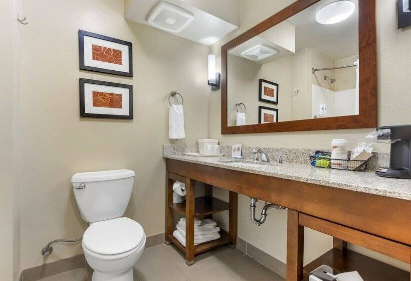سوییت, Comfort Suites Redding  Shasta Lake