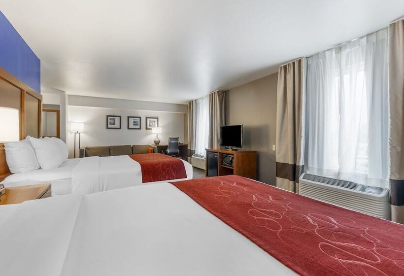 سوئیت برای معلولان, Comfort Suites Redding  Shasta Lake