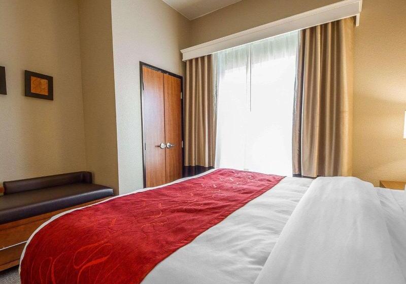 سوئیت با تخت بزرگ, Comfort Suites Redding  Shasta Lake