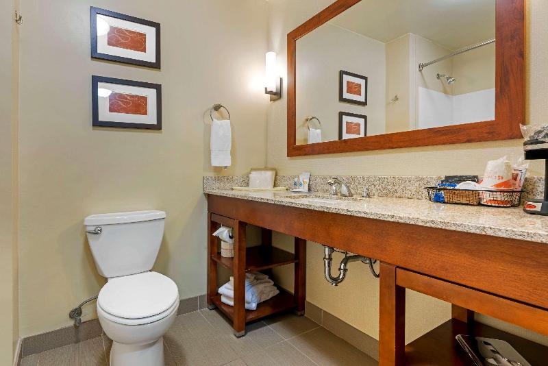 سوئیت با تخت بزرگ, Comfort Suites Redding  Shasta Lake
