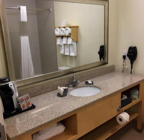 Deluxe Suite, La Quinta Inn & Suites By Wyndham Rochester Mayo Clinic S