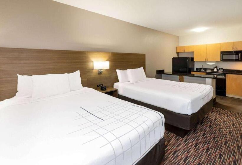 اتاق دلوکس مخصوص معلولین, La Quinta By Wyndham Wichita Falls   Msu Area